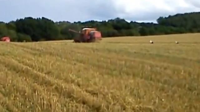 Żniwa 2011 Owies/Polish Oat Harvest BIZON Z056 Leyland sw-400 -Popielewko смотреть онлайн