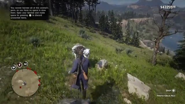 Red Dead Redemption 2 #6 Hunting the legendary bison and getting executed смотреть онлайн