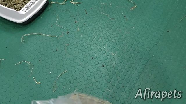 ОПЯТЬ ОПЕРАЦИЯ! *часть 12* смотреть онлайн