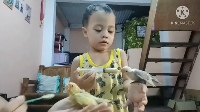 Tara na maging pet lover with me😍😍 смотреть онлайн