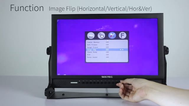 SEETEC 17.3″ Multi-format Director Monitor P173-9HSD смотреть онлайн