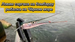 Рыбалка на саргана | Ловля саргана на бомбарду | Рыбалка на Чёрном море | Рыбалка в Крыму