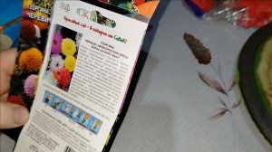 ПРОСТАЯ ЖИЗНЬ// ВЕЧЕРНЯЯ ПРОГУЛКА ПО ГОРОДУ// ГОТОВИМ САЛАТИК// ЖИЗНЬ В НЕБОЛЬШОМ ГОРОДКЕ//