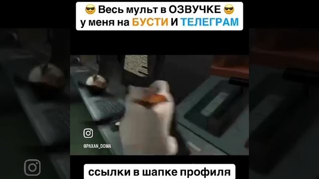 ПОЛНЫЙ МЕТР 😱😳 смотреть онлайн
