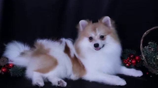 MVI 4412 смотреть онлайн