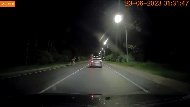 Лось из кустов смотреть онлайн