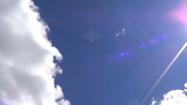 Полеты голубей из Донбасса 15.08.2016 смотреть онлайн