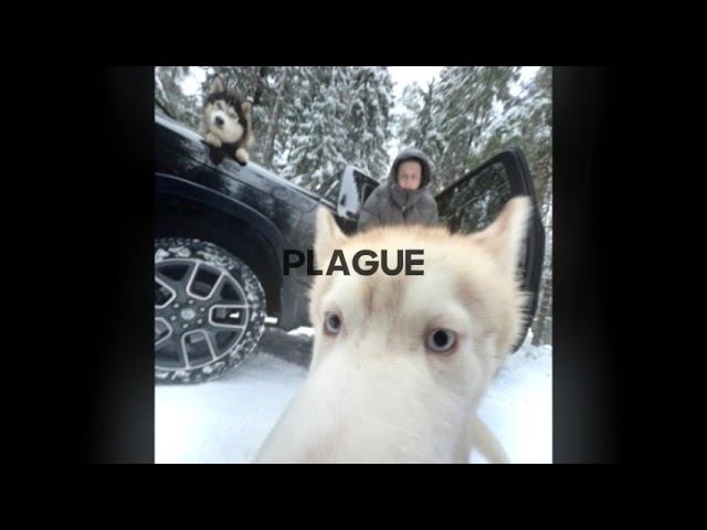 [FREE] alblak 52 + friendly thug 52 ngg rage type beat - for real | free for non profit смотреть онлайн