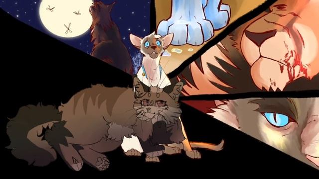 реакция на долгохвостку кв @long_tail_kw44 смотреть онлайн