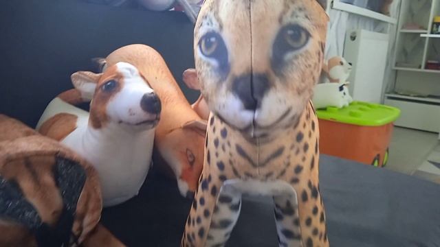 распаковка сервала #блоптоп #игрушки #funny #сервал #шлепа #распаковка