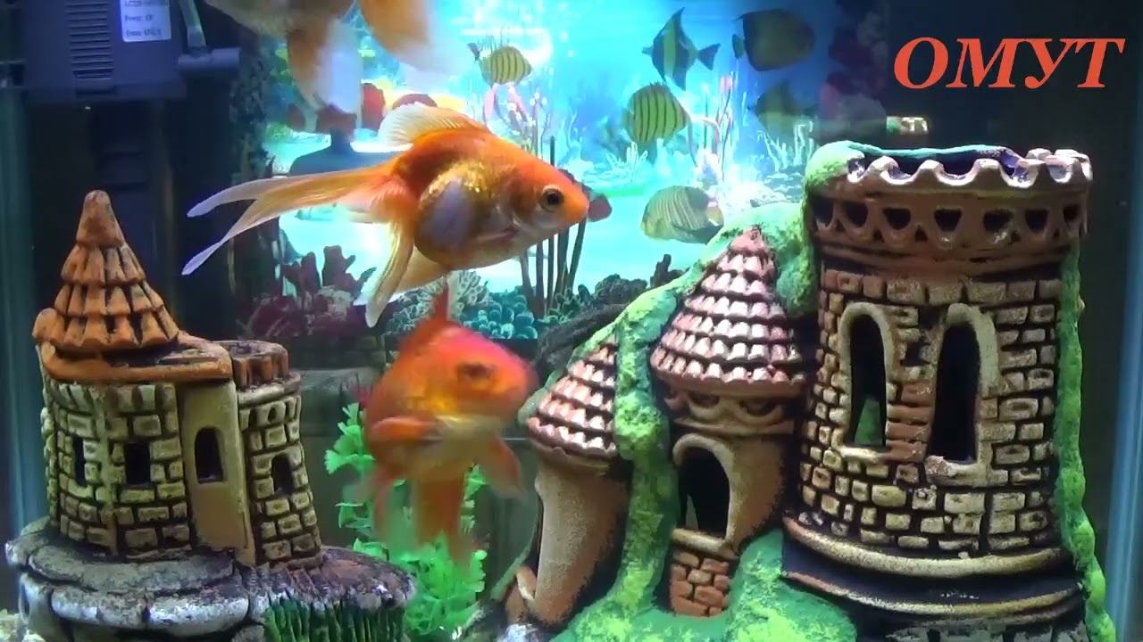 415. МОЛИТВА НА НЕИЗВЕСТНОГО ВРАГА... смотреть онлайн