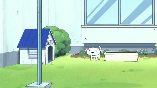 Shinchan In Hindi 2021| Shinchan New Episode 2021| Shinchan In Hindi