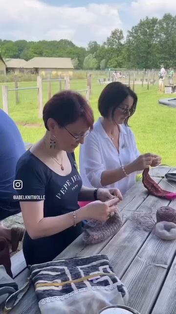 Ферма Альпак в Нидерландах @knitting_club смотреть онлайн