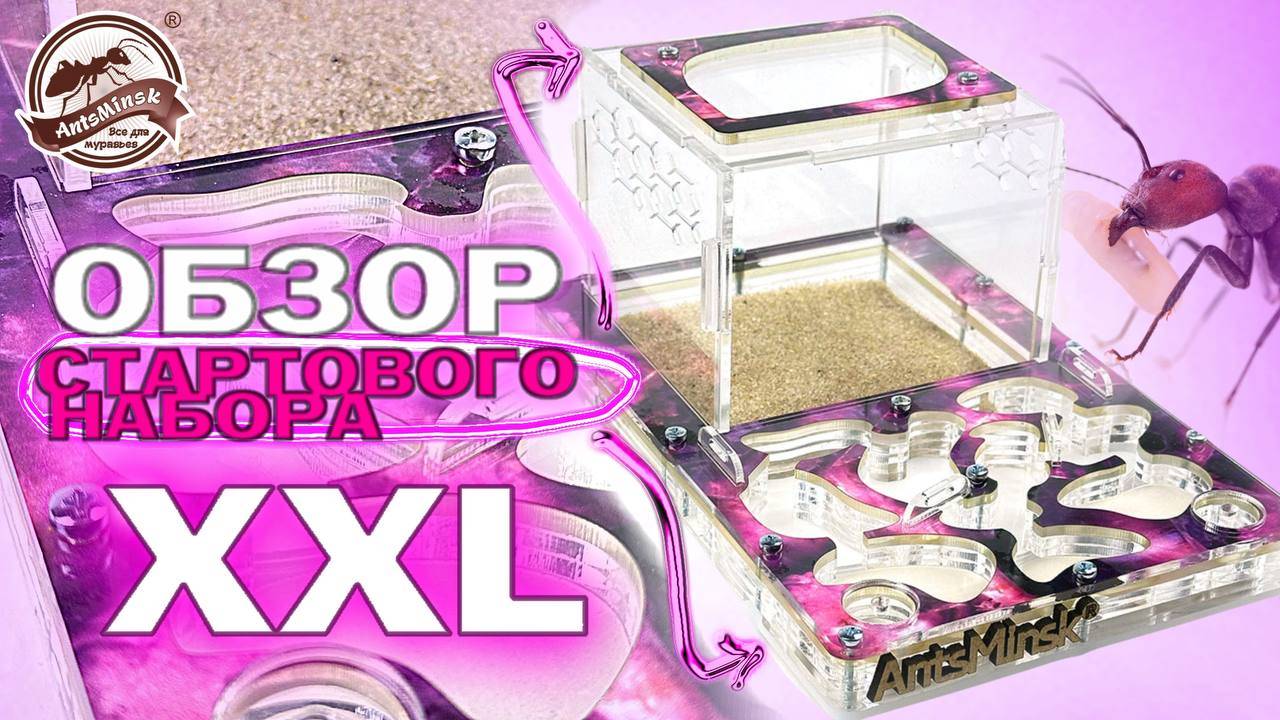 ОБЗОР И ЗАСЕЛЕНИЕ В ANTSMINSK XXL 2025