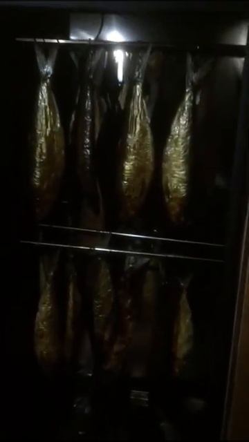 Первый запуск коптильни Drevos смотреть онлайн