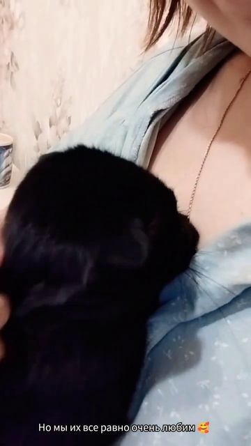 Минусы кошек #влог#кошки#домашниеживотные#like#vlog#дом#минусы#квартира#love смотреть онлайн