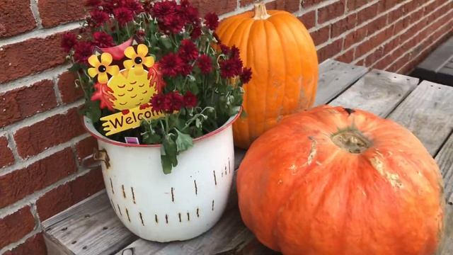 DITL | Bone Broth | Garden & Chickens смотреть онлайн