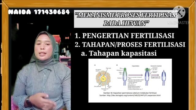 MEKANISME PROSES FERTILISASI PADA HEWAN смотреть онлайн