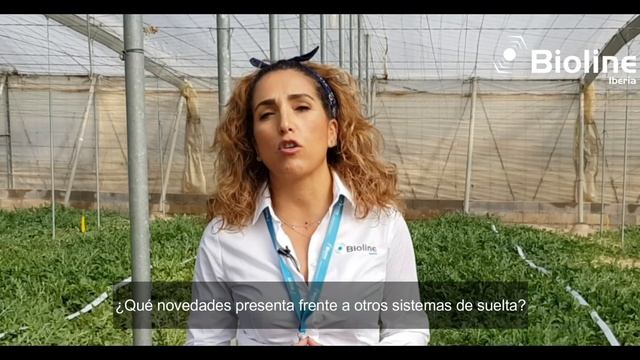 Bugline, el innovador sistema de suelta de Bioline смотреть онлайн