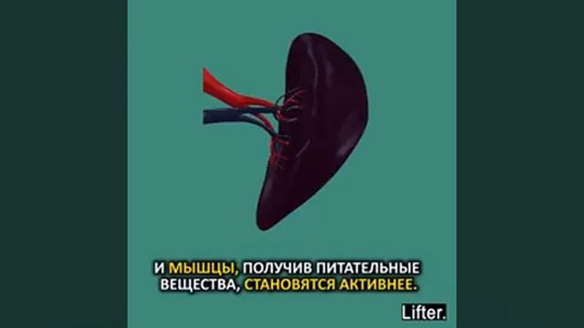 13 сентября 2017 г. смотреть онлайн