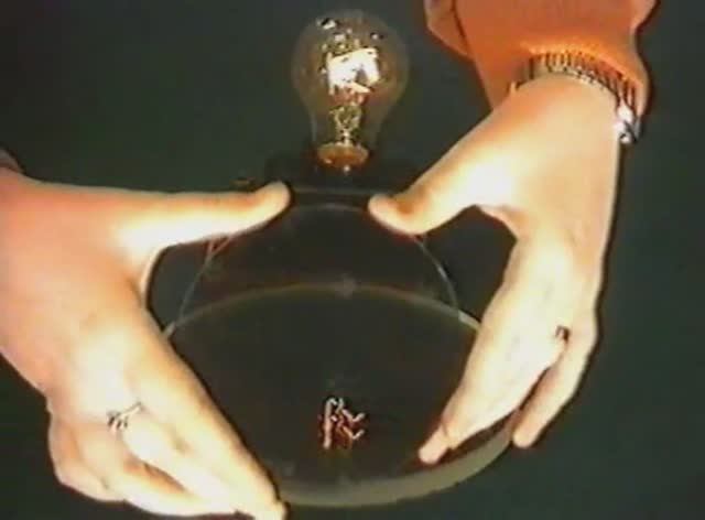 Физика. Опыты. Физическая оптика. Изменение состояния поляризации при отражении смотреть онлайн