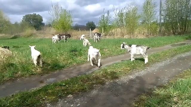 Что нам снег, что нам дощь, жрать охота. смотреть онлайн