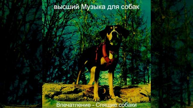 Впечатление (Спящие собаки) смотреть онлайн