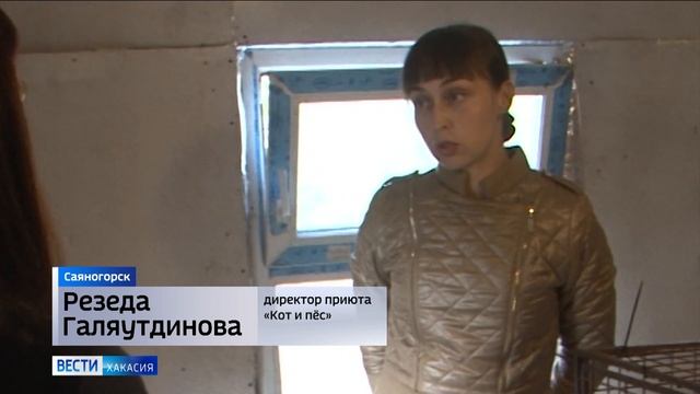 Металлурги подключили приют «Кот и пёс» к электричеству смотреть онлайн