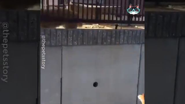 Лучшие друзья / best friends смотреть онлайн