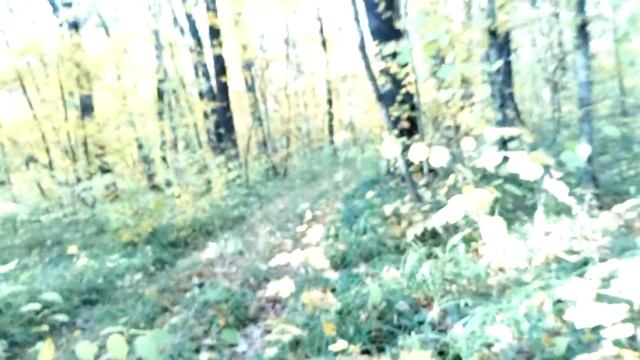 Новый коп в лесу смотреть онлайн