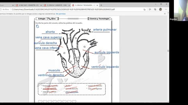 CIENCIA Y TECNOLOGÍA 1ER GRADO 26/05/2021 смотреть онлайн