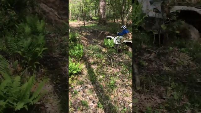 Yamaha Grizzly 700 2017 смотреть онлайн