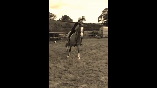 Ellie Goulding! [Jumping maisey] смотреть онлайн