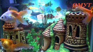 309. КАК ПРОСТО ОПРЕДЕЛИТЬ ЖРУТ-ли ВАС...И ВАШИ КОММЕНТЫ...