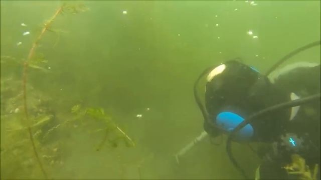 Nudist Beach Underwater Detecting смотреть онлайн