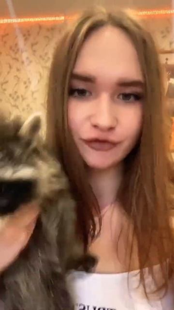 Фотогеничный енот👌 смотреть онлайн
