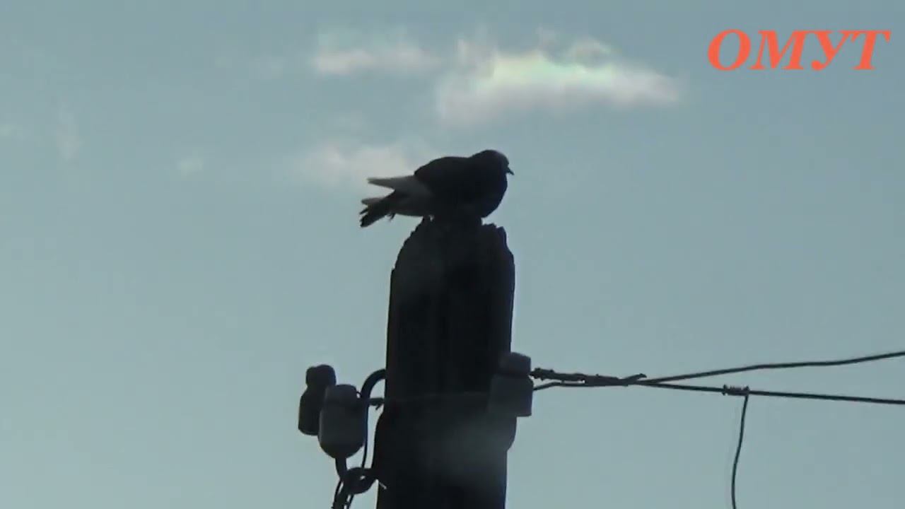 382. ЗНАКИ, КАК ВСЕГДА ЗНАКИ... смотреть онлайн