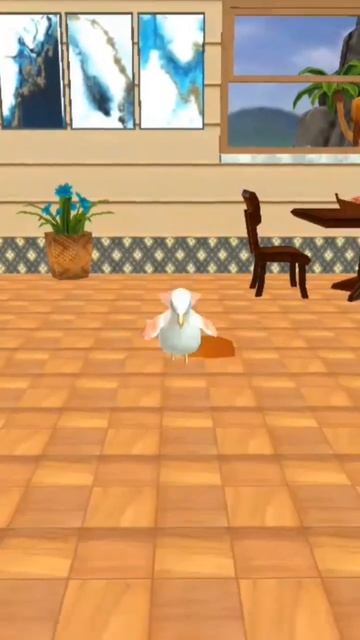 Игра с чайкой! #птицы #чайка #игра смотреть онлайн