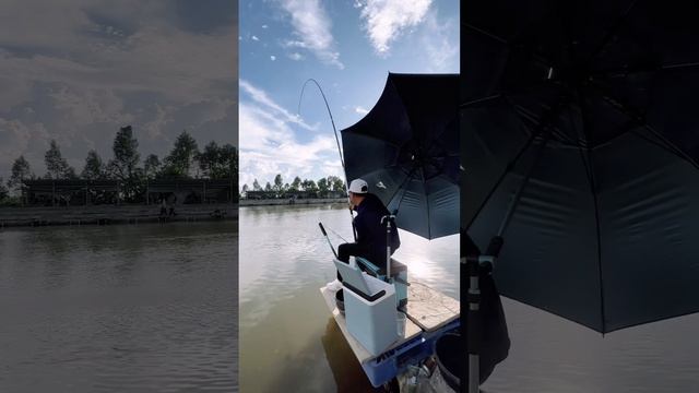 Câu Cá Trắm Đen Hồ Câu Đại Hải | Chung Nguyễn Fishing смотреть онлайн