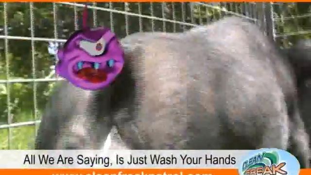 H1N1 Swine Flu Song - Give Pigs a Chance смотреть онлайн