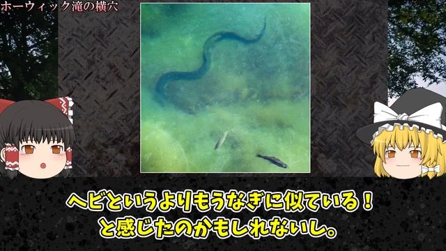 【ゆっくり解説】世界が震えた…人間を襲う巨大ウナギ「インカニヤンバ」の目撃証言がヤバい…全長10mの怪物は古代からの伝説!?【UMA・未確認生物】【蛇？古代生物？】 смотреть онлайн