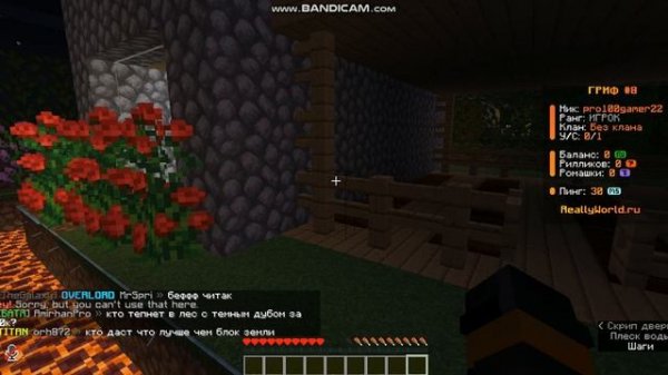 Minecraft на сервеере домера IP сервера mc.reallyworld.ru