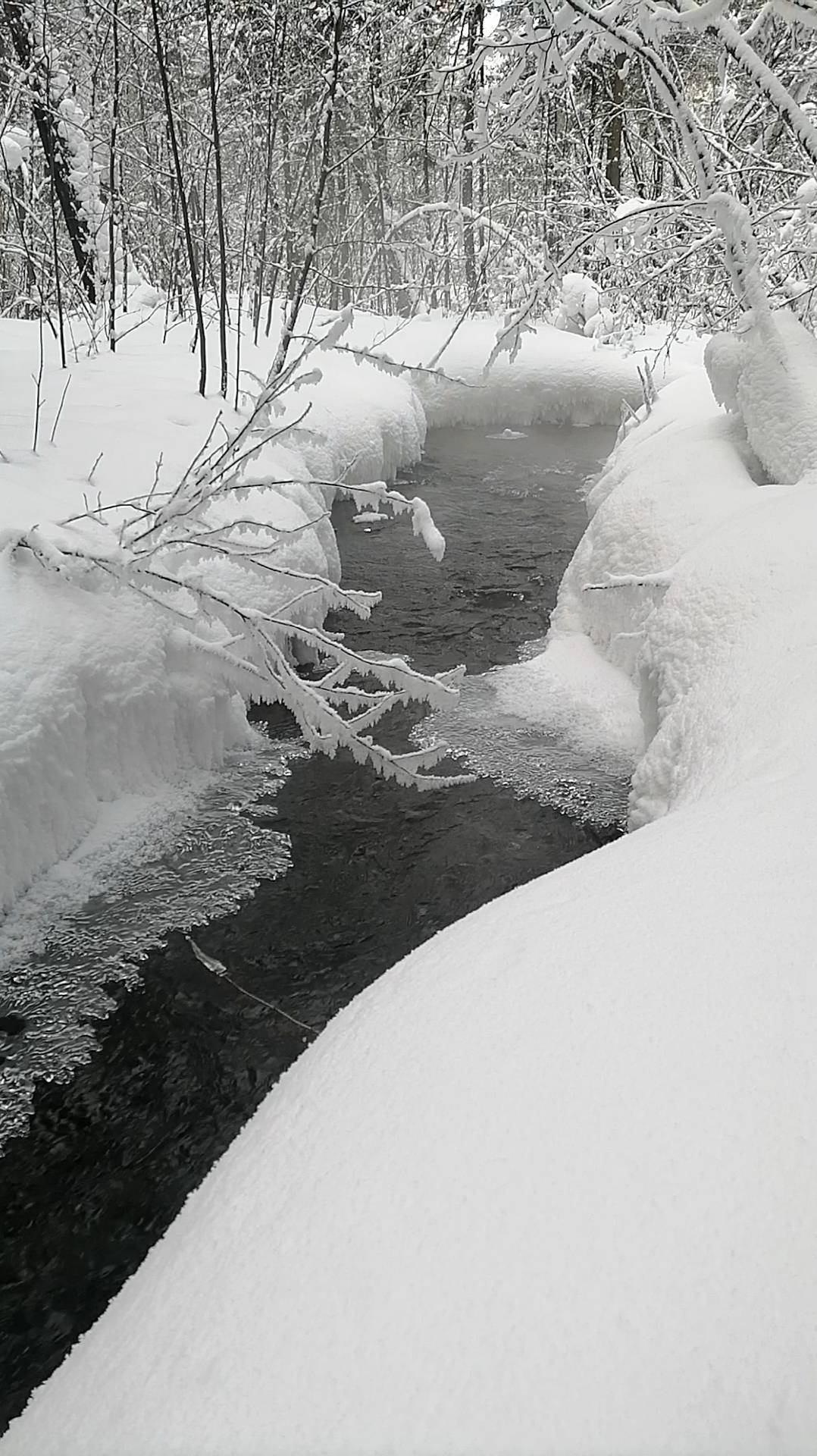Вода в трёх состояниях смотреть онлайн