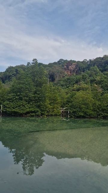 ЖивоПись отеля A la Koh Kood Resort на Haad Khlong Hin Beach #kohkoodisland #thailandlifestyle смотреть онлайн