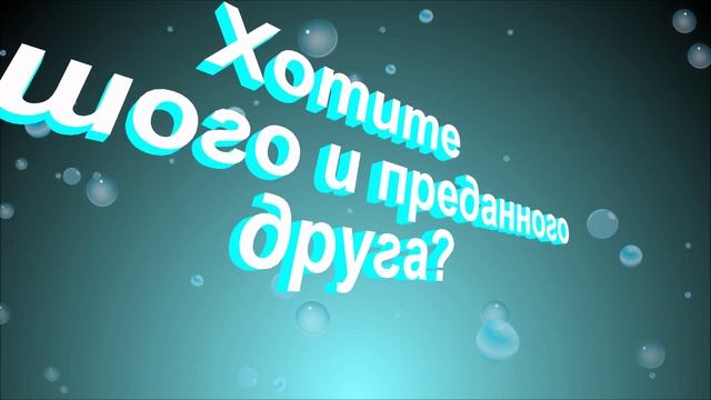 Лучшие котята - югорские рысята! смотреть онлайн