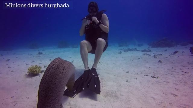Moray attack смотреть онлайн