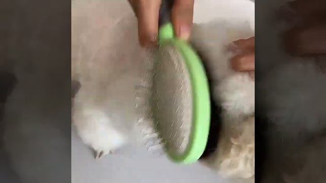 Double Sided Cat Massage Hair Brush Dog Pet Needle Grooming Brush смотреть онлайн