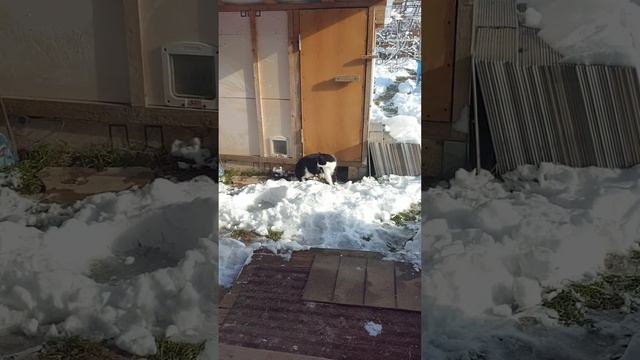 Муравей в засаде. 2 серия смотреть онлайн