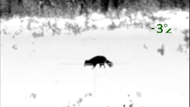 Лиса на приваде 3 сезон 2018 2019 смотреть онлайн