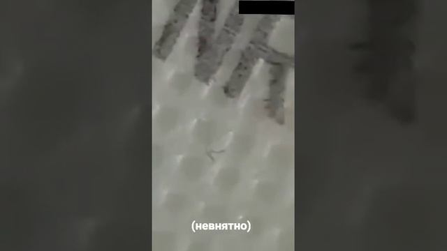 в масках черви! смотреть до конца! смотреть онлайн